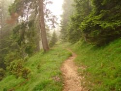 2013-06-22_Hirschhoerndl_Jochberg (161).JPG